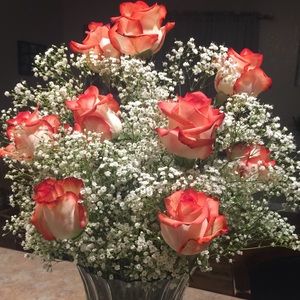 Meet your Posher, Cindy